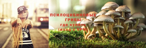 ПСИЛОЦИБИНОВЫЕ ГРИБЫ Алексин