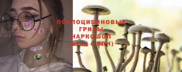 ПСИЛОЦИБИНОВЫЕ ГРИБЫ Алексин