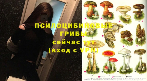 мдпв Нефтекумск