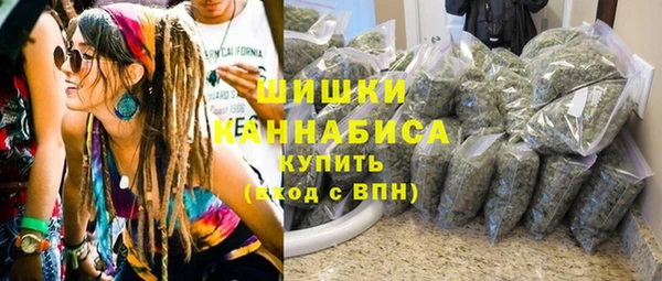 ПСИЛОЦИБИНОВЫЕ ГРИБЫ Алзамай