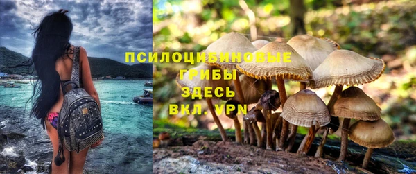 стаф Абдулино