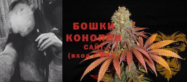 прущие крисы Абаза